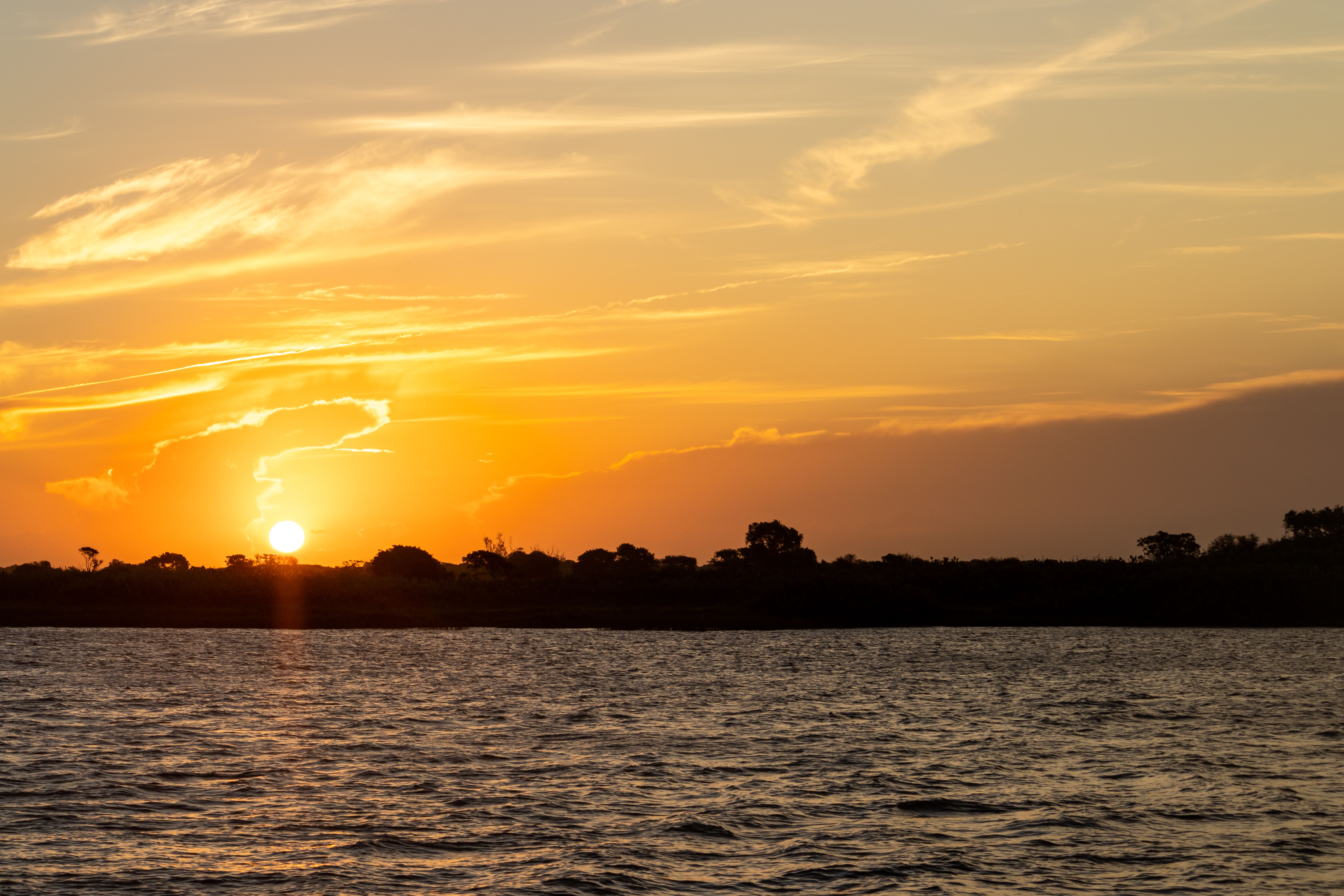 Beautiful golden hour sunset over the ocean with silhouetted trees on the horizon. — Foto: Wallace Silva / Pexels