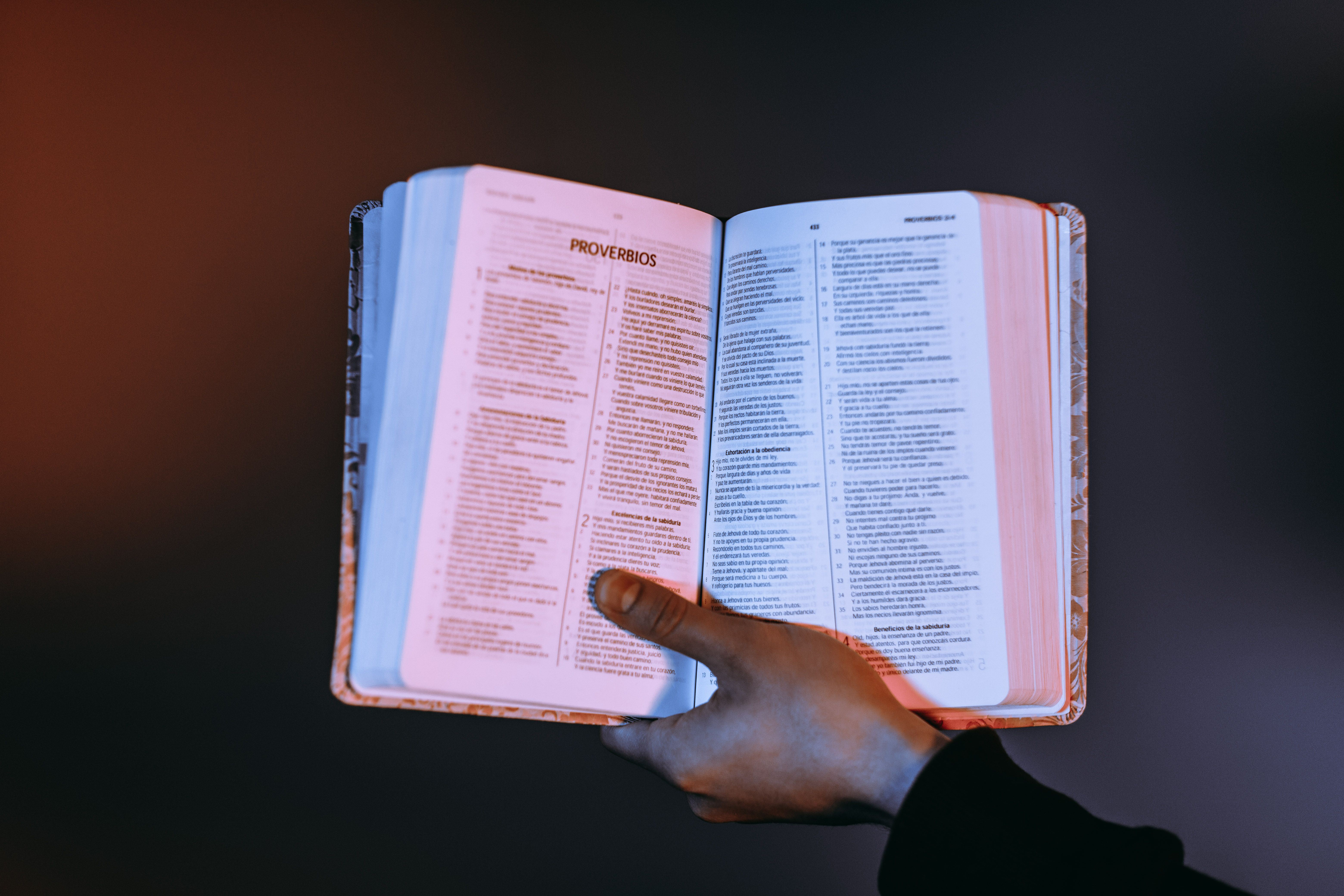 A person holds an open Bible with Proverbs highlighted, bathed in warm light. — Foto: Luis Quintero / Pexels